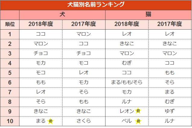 ペットの名前ランキング19 犬 猫のペット保険ならアイペット損保 23個のno 1受賞