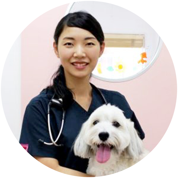 犬の下痢の原因は 病院に連れていく基準や下痢がゼリー状のときの対処法を獣医師が解説 ペット保険ならアイペット損保 数々のno 1受賞