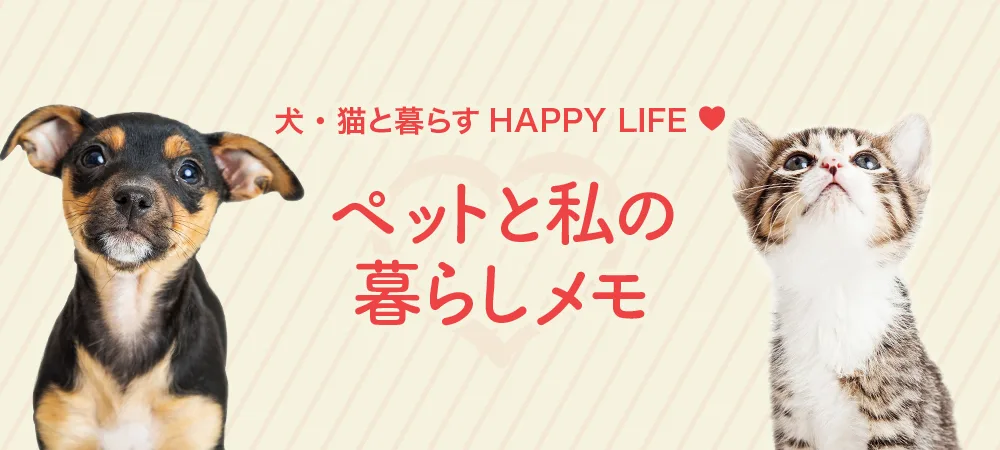 犬・猫のペット保険なら【第一アイペット】公式サイト