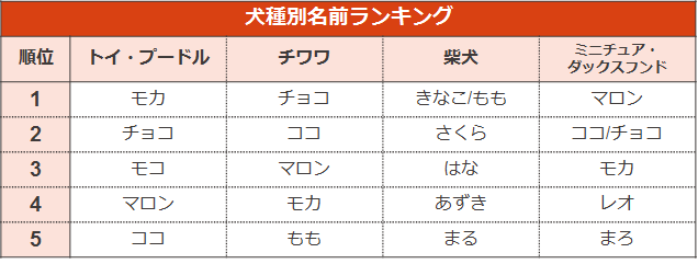 犬 の 名前 人気