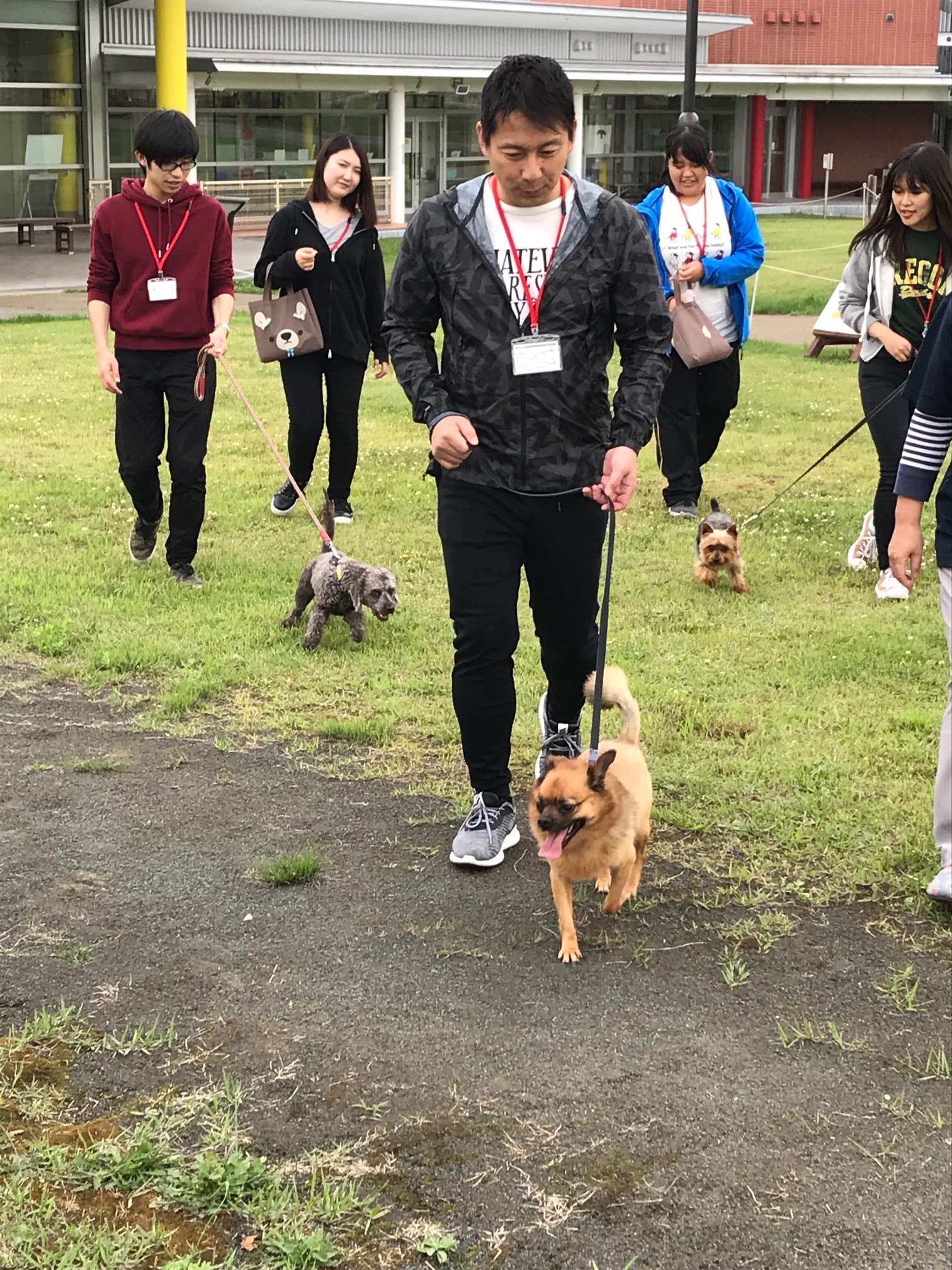 7月5日 金 に当社社長山村鉄平と今年度新入社員が 青森県動物愛護センターでのボランティア活動に参加しました 犬 猫のペット保険ならアイペット損保 23個のno 1受賞 7月5日 金 に当社社長山村鉄平と今年度新入社員が 青森県動物愛護センターでのボランティア活動に参加しました 犬 猫のペット保険ならアイペット損保 23個のno 1受賞