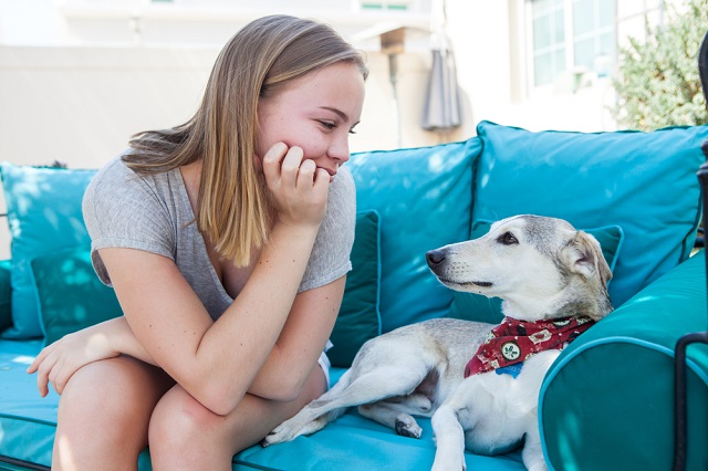 犬のしつけの基本はアイコンタクト 教え方を解説 犬 猫のペット保険ならアイペット損保 23個のno 1受賞