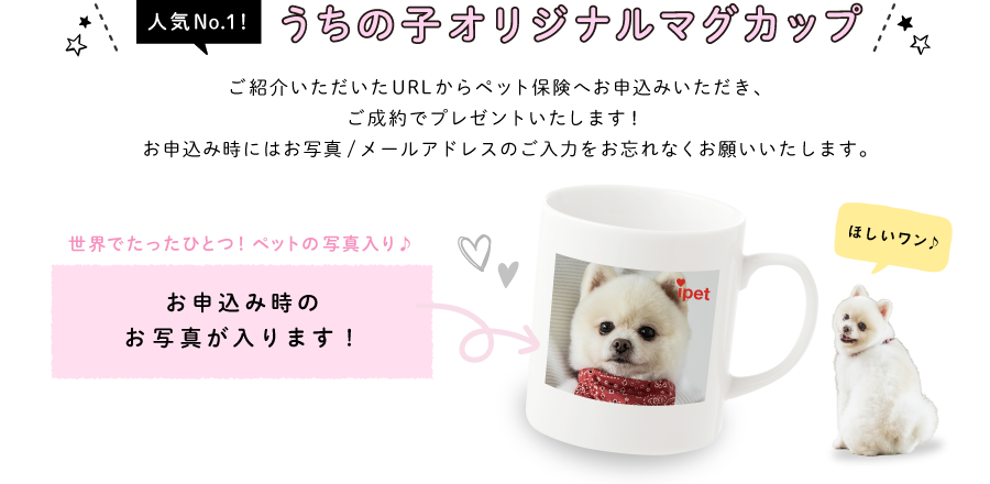 画像_成約者特典.png.webp