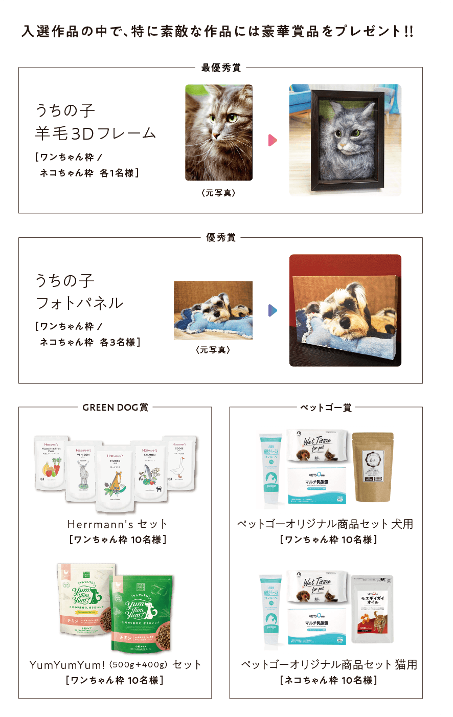 第5回 アイペット うちの子カレンダー 投稿キャンペーン開始 ペット保険ならアイペット損保 数々のno 1受賞