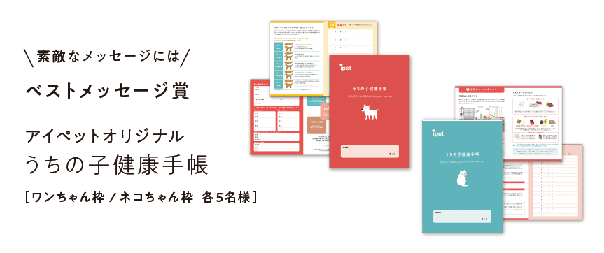 第5回 アイペット うちの子カレンダー 投稿キャンペーン開始 ペット保険ならアイペット損保 数々のno 1受賞 第5回 アイペット うちの子カレンダー 投稿キャンペーン開始 ペット保険ならアイペット損保 数々のno 1受賞