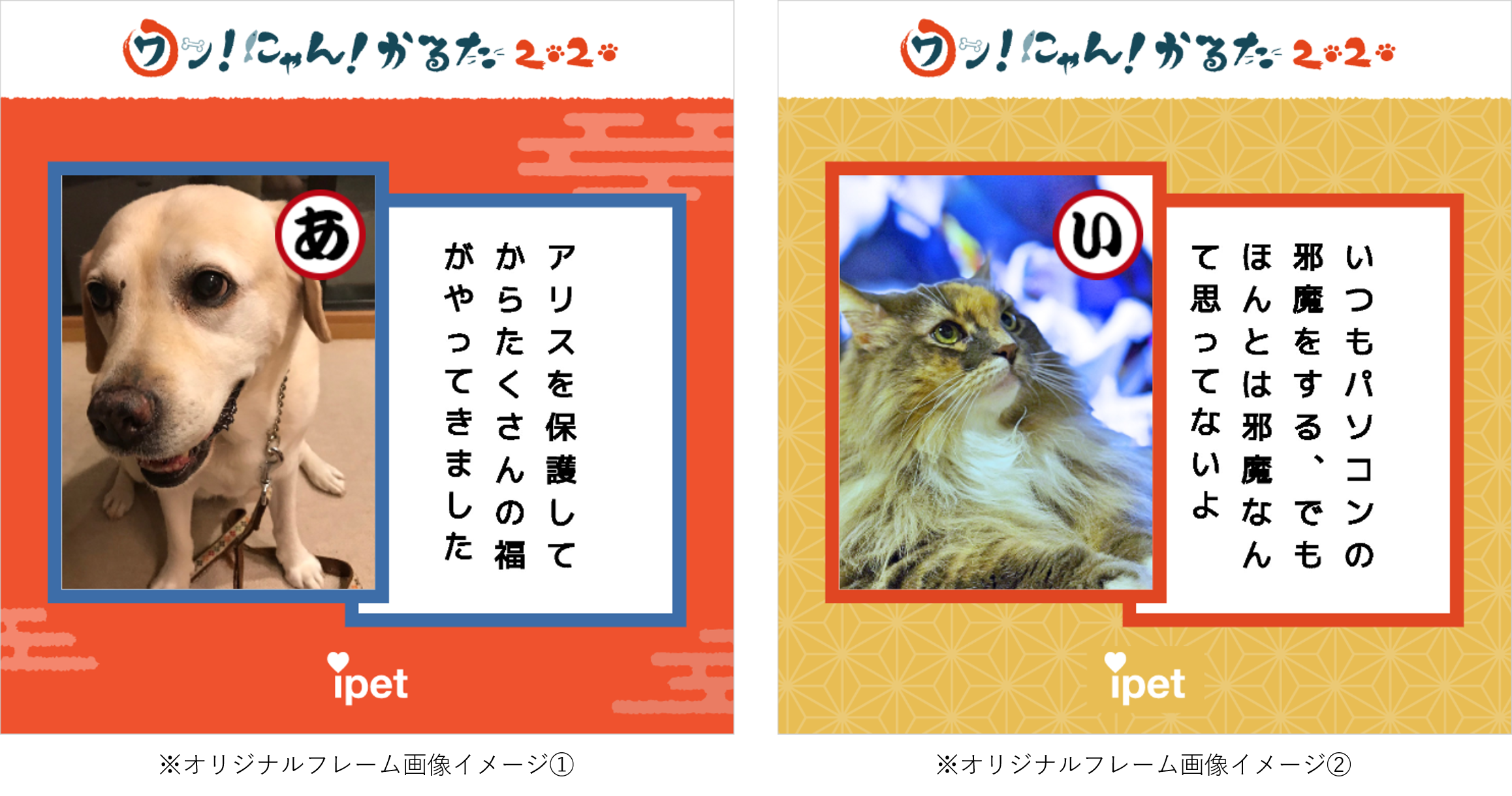 第6回 ワン にゃん かるた 投稿キャンペーン本日開始 ペット保険ならアイペット損保 数々のno 1受賞