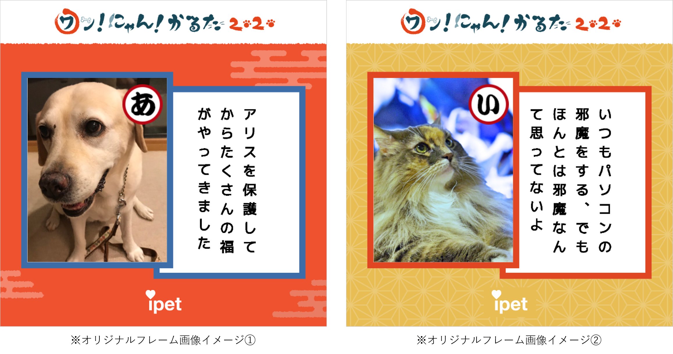 第6回 ワン！にゃん！かるた」投稿キャンペーン本日開始！ | ペット