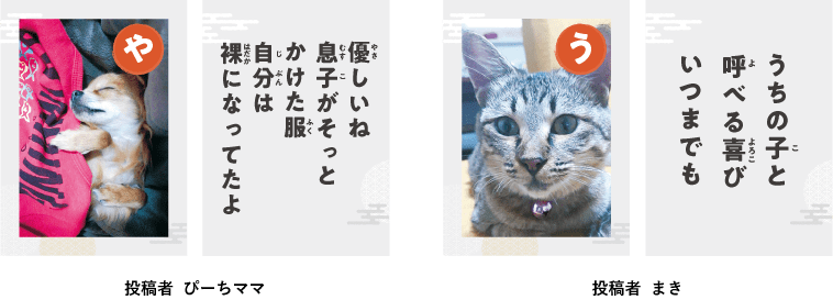 第６回ワン にゃん かるた 結果発表 ペット保険ならアイペット損保 数々のno 1受賞