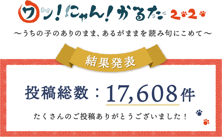 第６回ワン にゃん かるた 結果発表 ペット保険ならアイペット損保 数々のno 1受賞