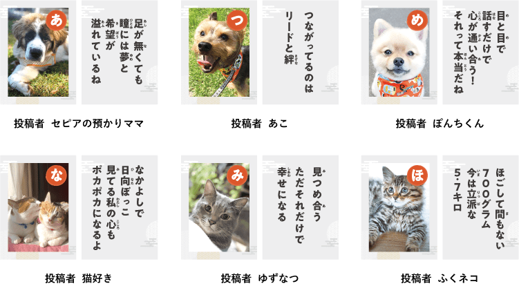 第6回ワン にゃん かるた 結果発表 ペット保険ならアイペット損保 数々のno 1受賞 第6回ワン にゃん かるた 結果発表 ペット保険ならアイペット損保 数々のno 1受賞