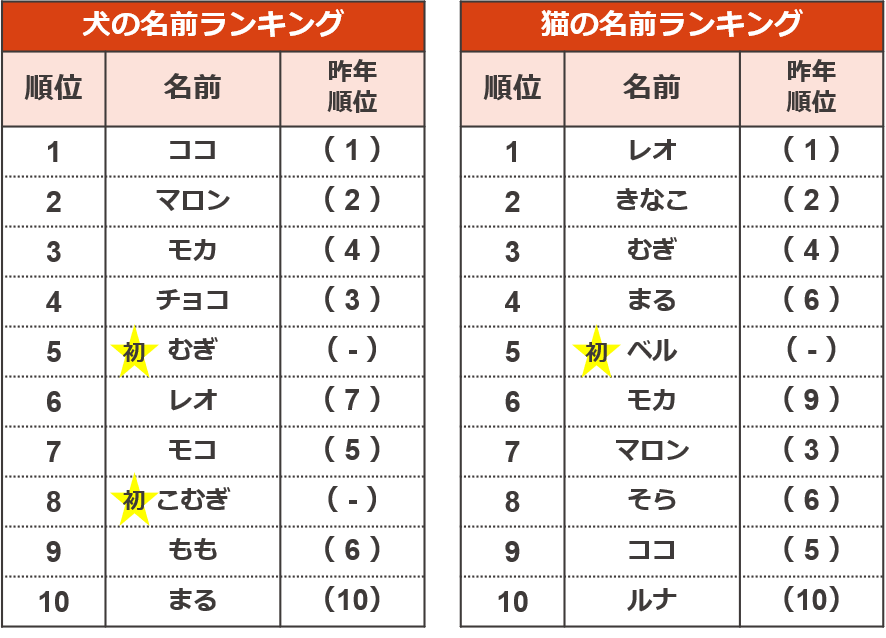 5年分のトレンドも振り返る ペットの名前ランキング ペット保険ならアイペット損保 数々のno 1受賞