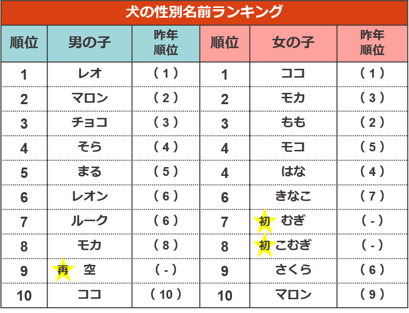 5年分のトレンドも振り返る ペットの名前ランキング 犬 猫のペット保険ならアイペット損保 23個のno 1受賞