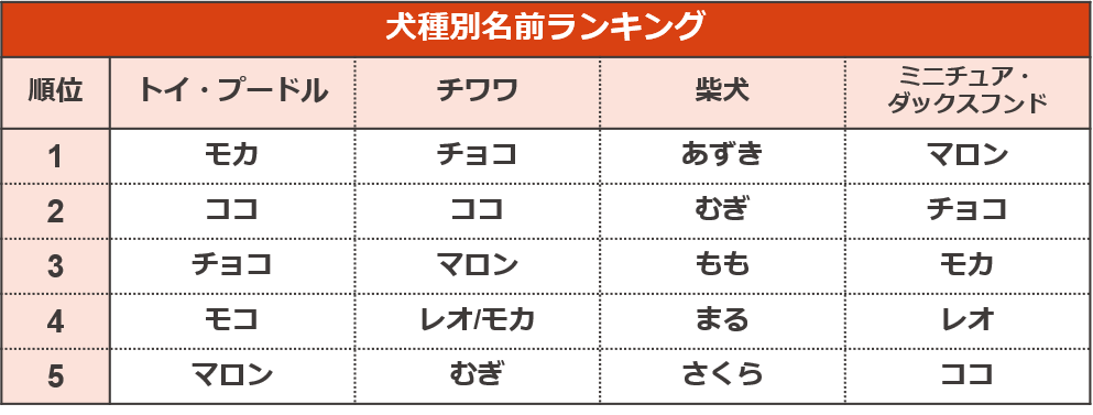 5年分のトレンドも振り返る ペットの名前ランキング 犬 猫のペット保険ならアイペット損保 23個のno 1受賞