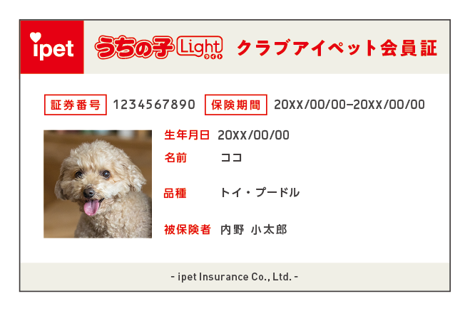 商品改定・保険証デザインの変更について | ペット保険の第一アイペット
