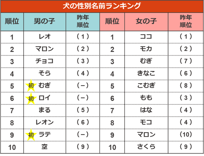 ペットの名前ランキング21 ペット保険ならアイペット損保 数々のno 1受賞