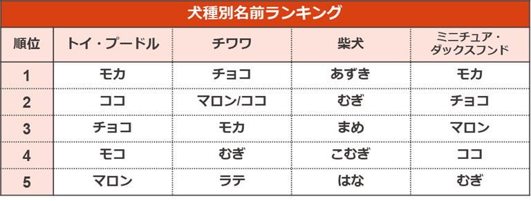 ペットの名前 犬 猫の名前 ランキング21 ペット保険 犬猫 のアイペット損保公式 新規契約者数no 1