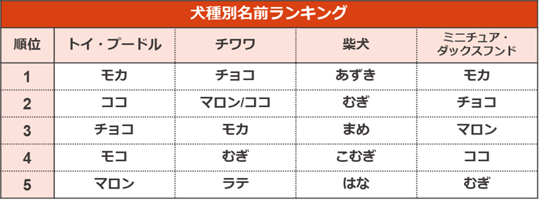 ペットの名前ランキング21 ペット保険ならアイペット損保 数々のno 1受賞