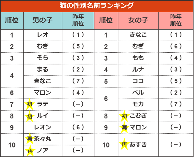 ペットの名前ランキング21 ペット保険ならアイペット損保 数々のno 1受賞