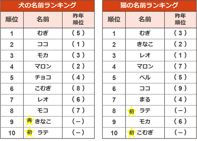 ペットの名前 犬 猫の名前 ランキング21 犬 猫のペット保険ならアイペット損保 23個のno 1受賞