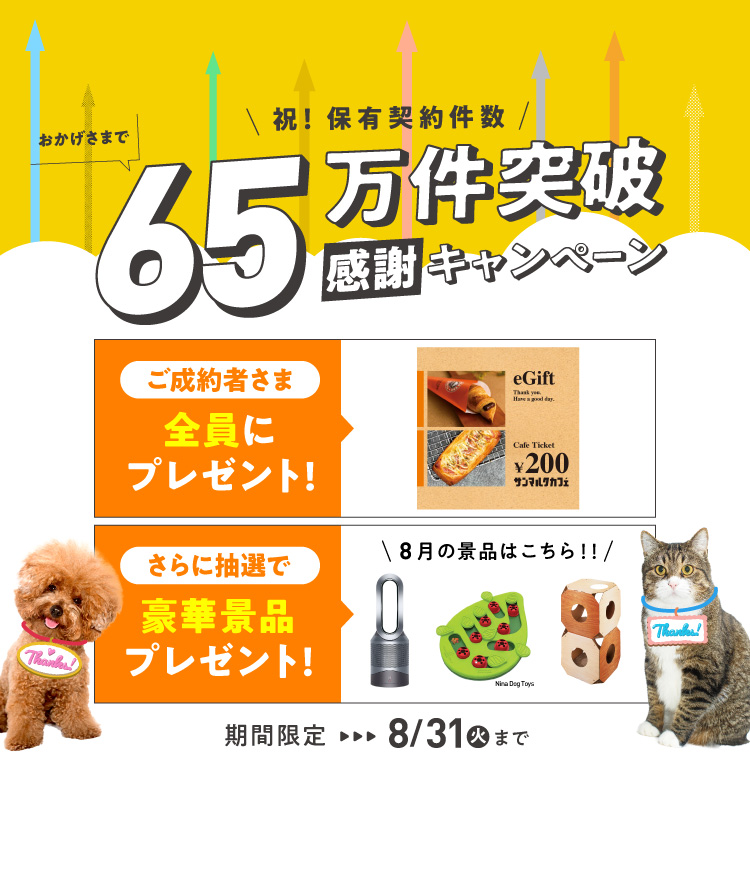 犬 猫のペット保険ならアイペット損保 23個のno 1受賞