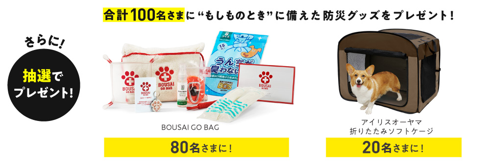 9月1日は防災の日 ペットのために考えよう ペットの防災キャンペーン 開始 犬 猫のペット保険ならアイペット損保 23個のno 1受賞