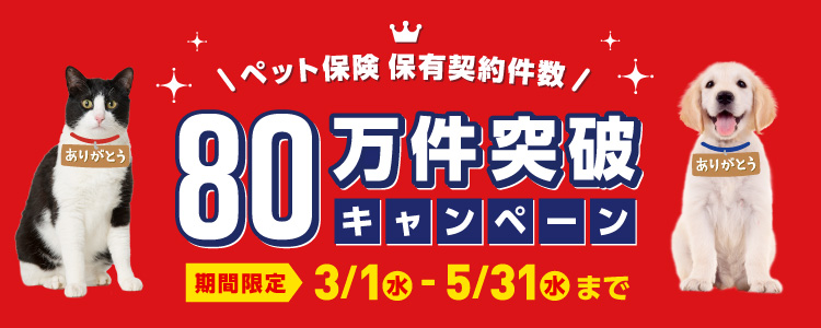 ご成約で豪華景品プレゼント！ペット保険保有契約数80万件突破キャンペーン 期間限定！5月31日まで