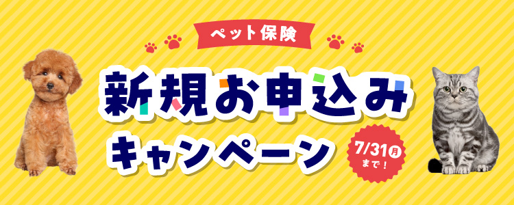 ご成約で豪華景品プレゼント！新規お申込みキャンペーン 期間限定！7月31日まで