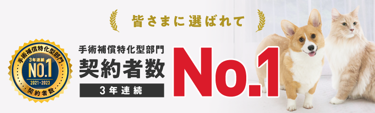 皆さまに選ばれて、手術補償特化型部門契約者数No.1