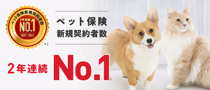 新規契約者数No.1