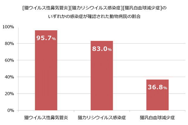 猫の感染症の発生率は？