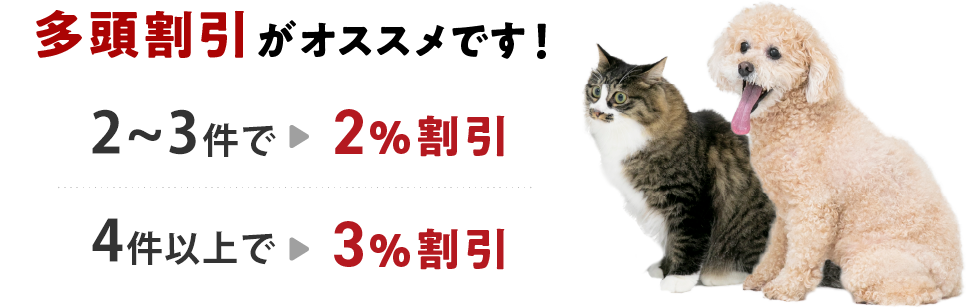 多頭割引がオススメです！2、3契約で2%割引 4契約以上で3%割引