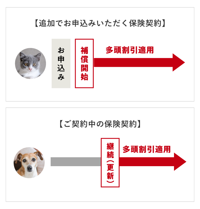 新たにお申込みいただいたご契約には、初年度から多頭割引が適用されますが、既存のご契約については、次回の継続契約から割引が適用されます