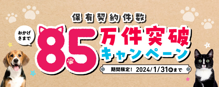 ご成約で豪華景品プレゼント！保有契約者数85万件突破キャンペーン 期間限定！1月31日まで