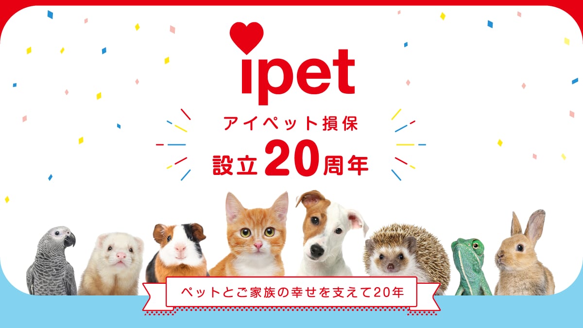 おかげさまでアイペット損保は設立20周年 | ペット保険のアイペット損保