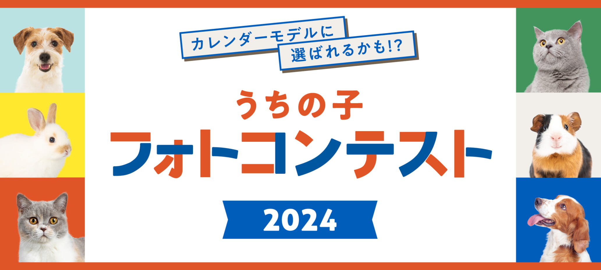 うちの子フォトコンテスト2024