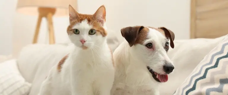 待機期間は継続時も設けられている?