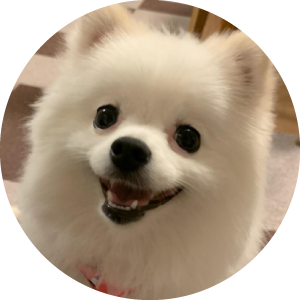 犬