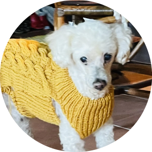 犬