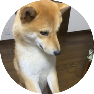 犬