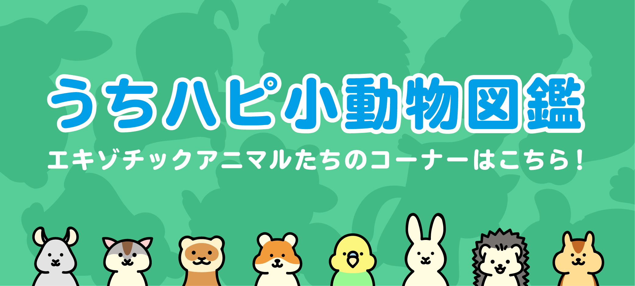 犬・猫のペット保険なら【アイペット損保】公式サイト
