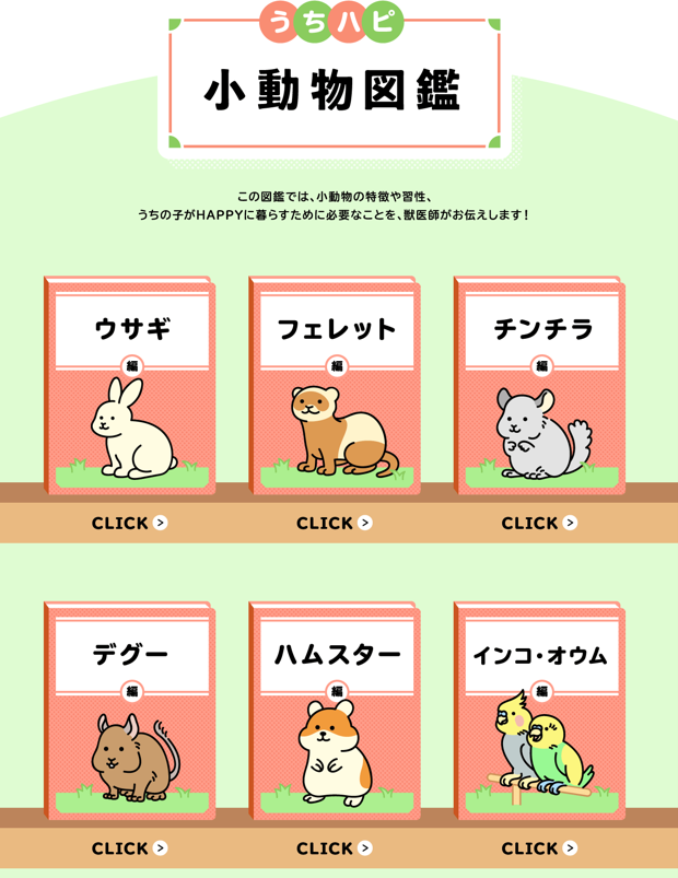 初の小動物飼育情報】 『うちハピ小動物図鑑』本日より公開 | ペット