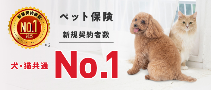 ペット保険新規契約者数犬猫共通NO.1