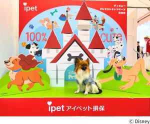 アイペット損保、ディズニーデザインのフォトスポットで1,000名超を
