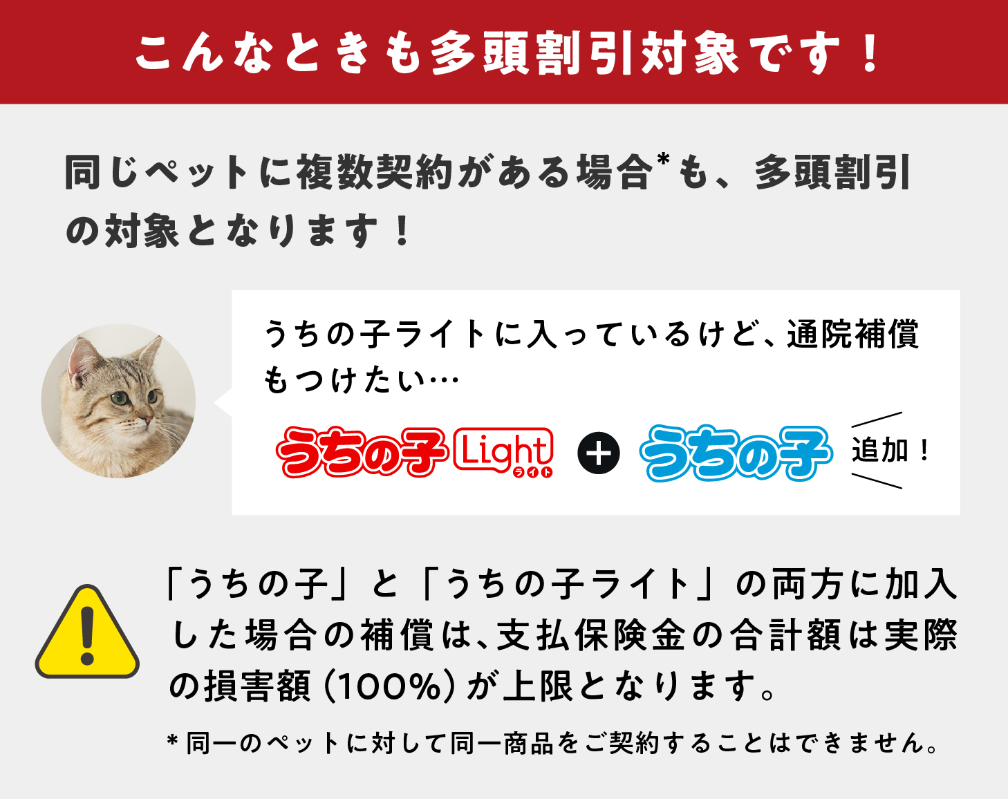 こんなときも多頭割引対象外です!同じペットに複数契約がある場合も、多頭割引の対象です!