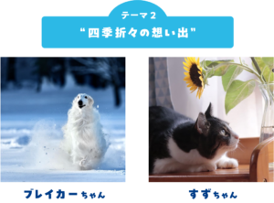 ペット写真6万件超！「うちの子フォトコンテスト2025」結果発表