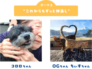 ペット写真6万件超！「うちの子フォトコンテスト2025」結果発表