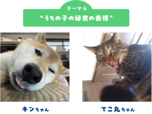 ペット写真確認ページ ペット写真6万件超！「うちの子フォトコンテスト2025」結果発表