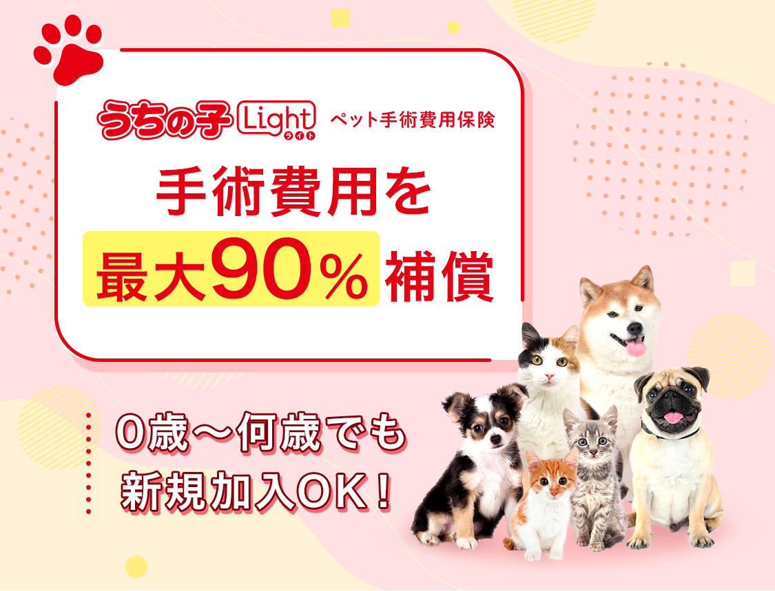 手術費用を最大90%補償！手術費用に特化したペット保険　うちの子ライト