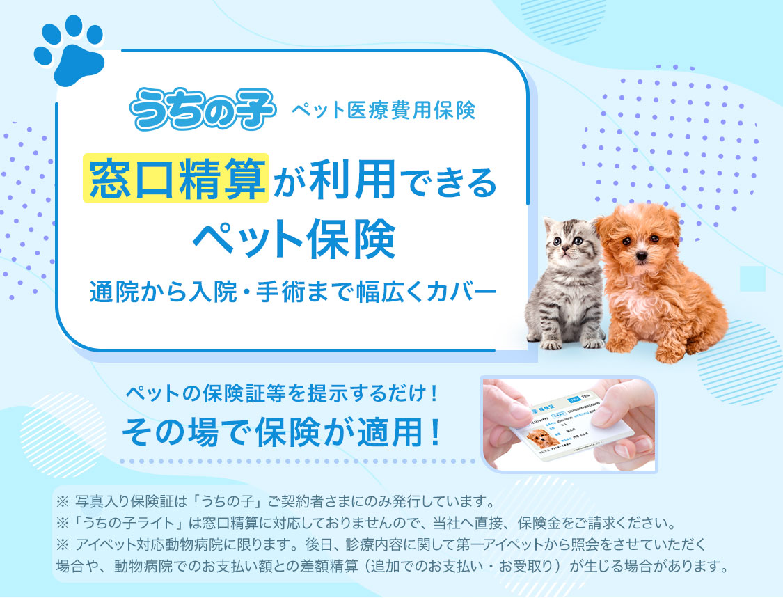 通院・入院・手術まで幅広くカバー!窓口精算ができるペット保険 うちの子