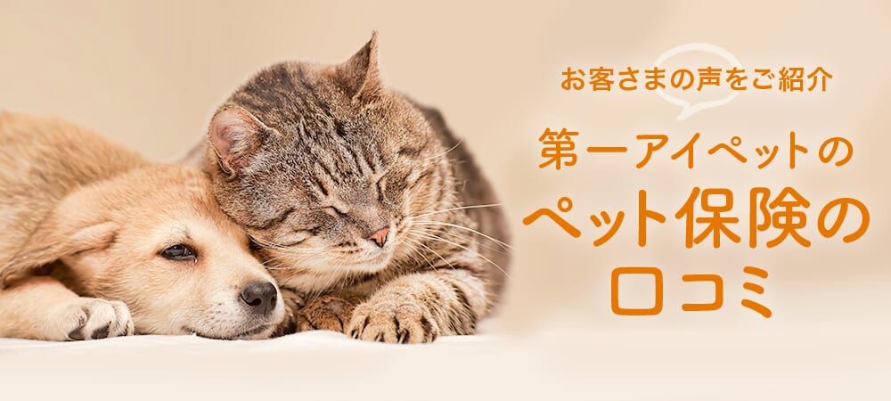 第一アイペットのペット保険の口コミ